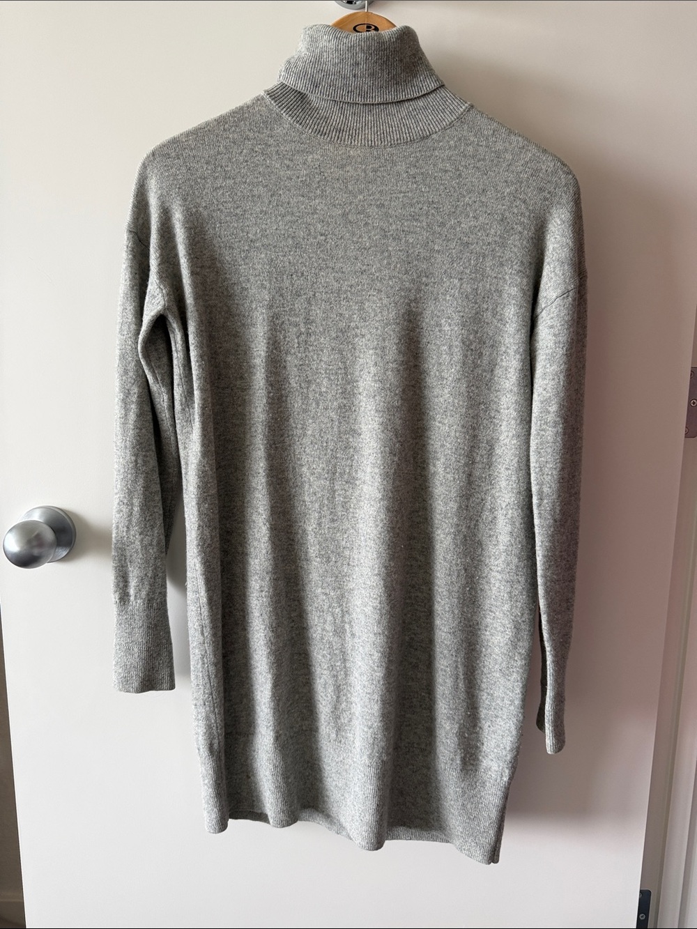 Everlane Cashmere Essential Turtleneck Mini Sweater Dress